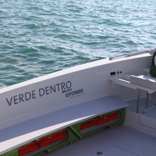 Eco Tour Lago di Garda: Barca Elettrica